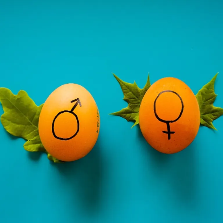 Creative Alternatives for Vibrators: Affordable Options for Pleasure