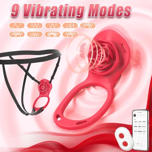 Panty Wearable Vibrator Adult Sex Toys, Remote Control Vibrator with App 9 Vibration Modes Adult Toys Hands-Free Vibrater Clitoral Stimulator Penis Vibrators Quiet Sex Toyscouples for Women Couples