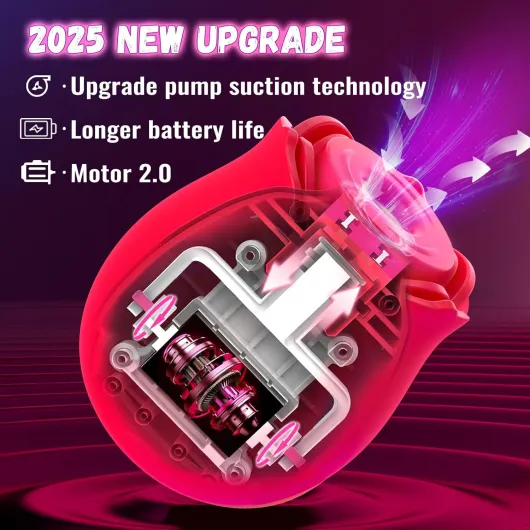 7182DCH9DfL._AC_SL1500_